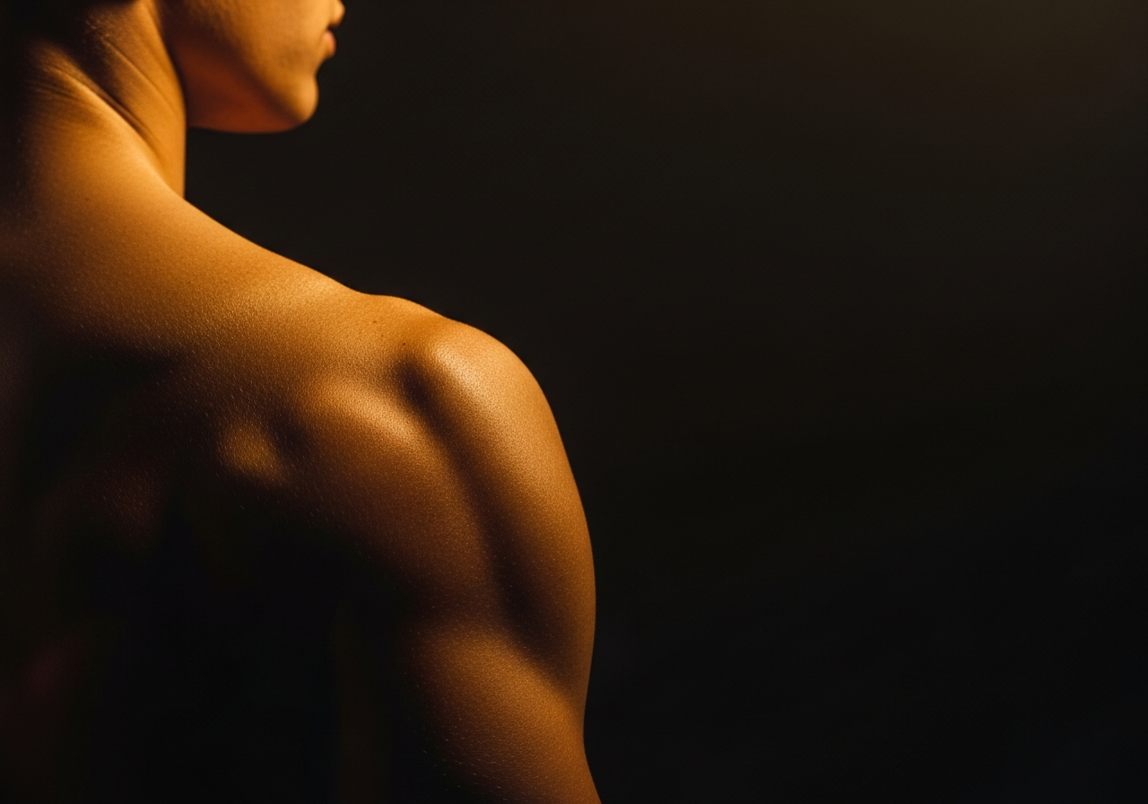 Shoulder